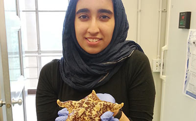 Summer Research Institute