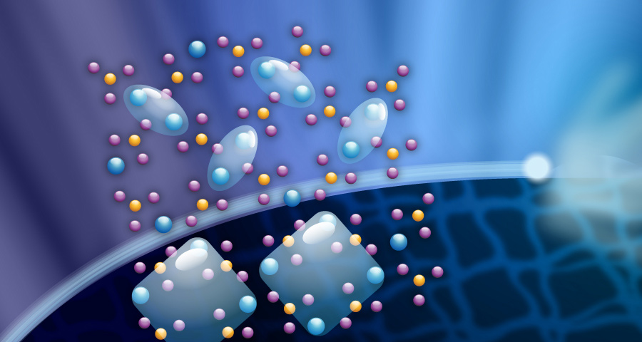 Mohamed Zayed's research on the thermodynamics of quantum materials was published in April in the journal Nature.