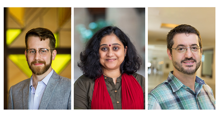 Patrick Walsh, Deepa Nair, and Ihab Younis each received a Provost's Inclusive Teaching Fellowship for the 2020-21 academic year.