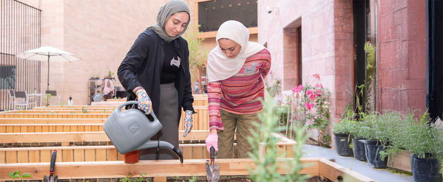 sustainable-garden-cmuq